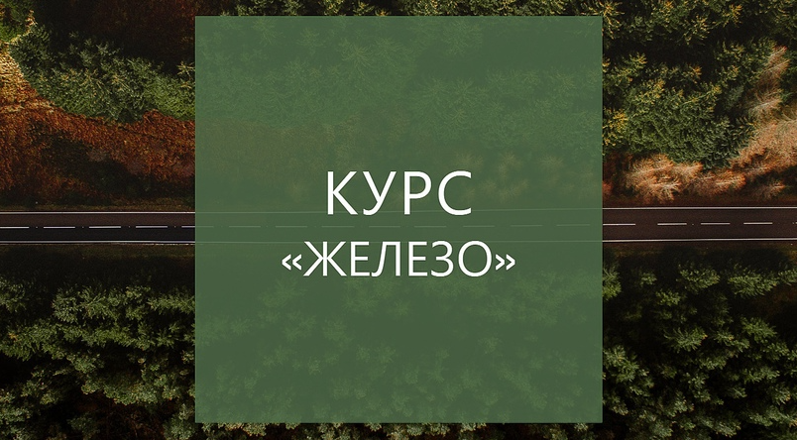 [Елена Суханова] Курс «ЖЕЛЕЗО» (2023)_0.png